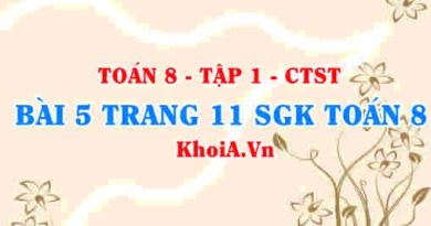 Bài 5 trang 11 SGK Toán 8 Tập 1 Chân trời sáng tạo